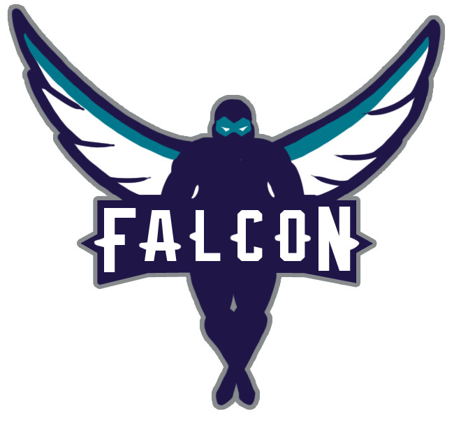 Charlotte Hornets Falcon logo iron on transfers